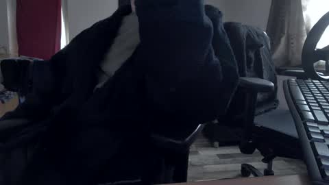 Snapshot of plboy23 chatting on November 30, 2025, 9:35 am Hello ask me . Im glad to see you here in my room. Welcome PVT is open online show from November 30, 2025, 9:35 am