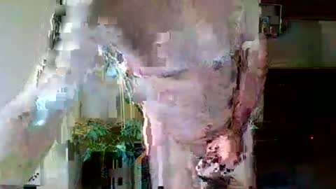 Snapshot of pluchet chatting on May 7, 2026, 4:56 pm pluchet online show from May 7, 2026, 4:56 pm