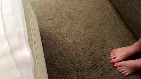 poe215241 online show from March 20, 2026, 11:59 am