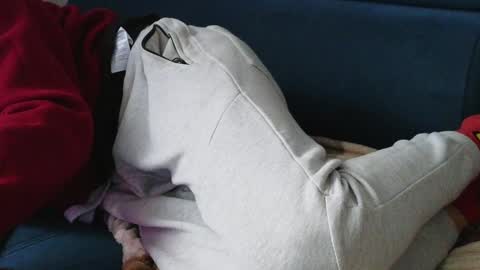 Snapshot of pokemon7ik chatting on January 26, 2025, 1:36 pm Karolina online show from January 26, 2025, 1:36 pm