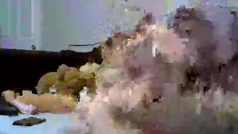 Snapshot of pollenpup chatting on January 12, 2026, 1:22 am sativa indica online show from January 12, 2026, 1:22 am