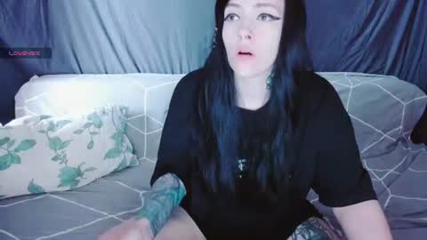 Polly online show from July 14, 2026, 12:22 pm