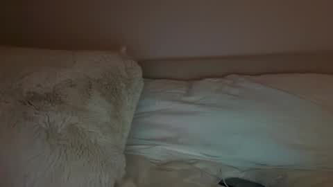 Polly Pocket online show from March 14, 2026, 5:46 am