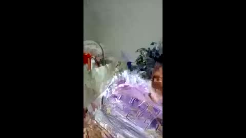 pompeche2 online show from March 25, 2026, 8:42 am