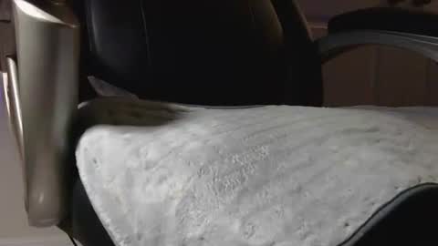 Snapshot of poppyntx chatting on February 20, 2026, 3:36 am poppyntx online show from February 20, 2026, 3:36 am