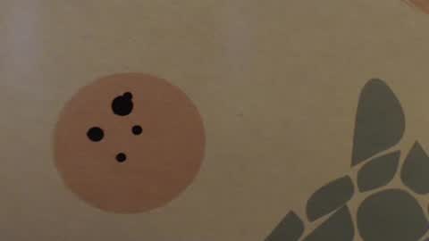 poseidonadventure88 online show from February 18, 2025, 12:39 pm