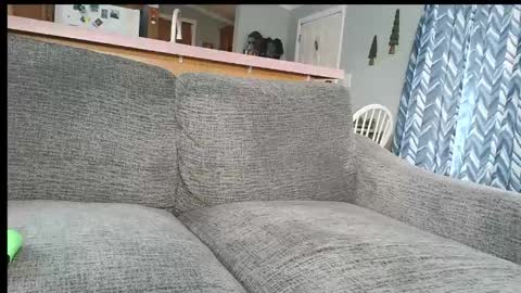 Snapshot of powerstroke345 chatting on March 7, 2026, 4:15 pm powerstroke345 online show from March 7, 2026, 4:15 pm