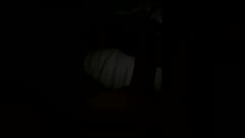 Snapshot of pp3568 chatting on July 28, 2026, 3:46 am Paul online show from July 28, 2026, 3:46 am