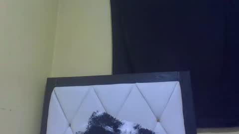 lynn online show from February 27, 2026, 7:14 pm