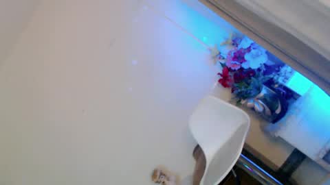 prettybadbitch28 online show from June 9, 2026, 1:23 pm