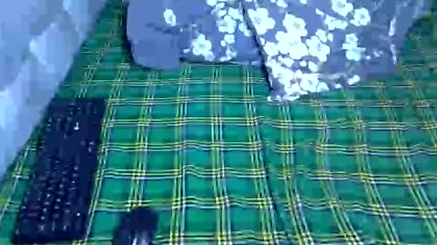 Prettiesexxy online show from April 28, 2026, 2:33 pm