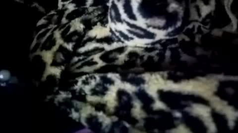 Snapshot of prettyimaa chatting on January 21, 2025, 8:19 am prettyma online show from January 21, 2025, 8:19 am