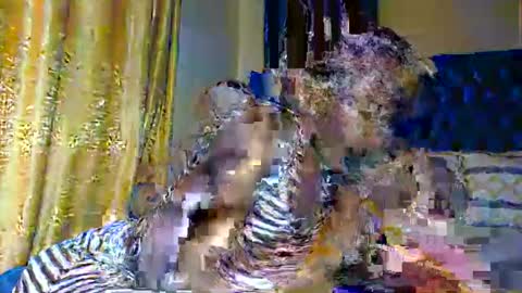 Snapshot of prettyquee chatting on November 10, 2025, 7:13 pm sasha online show from November 10, 2025, 7:13 pm