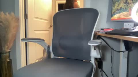 Discrete Pussy online show from July 28, 2026, 6:53 pm