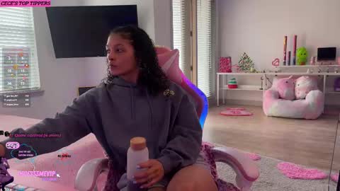 Snapshot of princess_cece chatting on March 6, 2025, 7:43 pm Cece NEXT LIVESTREAM -- DEC. 4th 7 PM CST online show from March 6, 2025, 7:43 pm