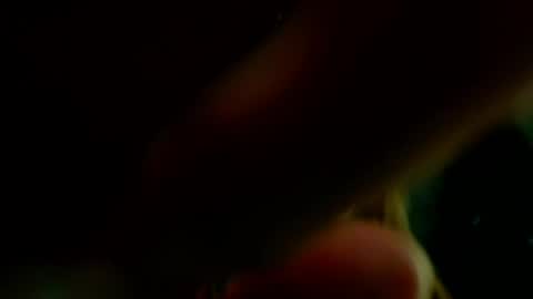 Snapshot of princess_ladylila chatting on June 1, 2026, 5:31 am Princess Lady Lila online show from June 1, 2026, 5:31 am
