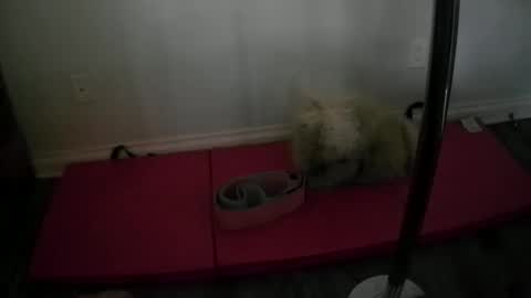 Snapshot of princesskimami chatting on October 25, 2025, 12:40 am princesskimami online show from October 25, 2025, 12:40 am