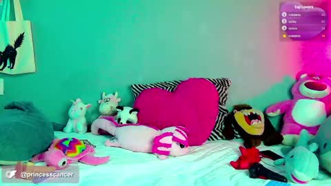 Snapshot of princesxcancer chatting on July 28, 2026, 6:53 am princesxcancer online show from July 28, 2026, 6:53 am
