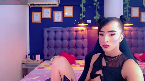 priscilarainbow online show from February 28, 2026, 5:14 pm