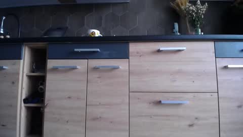 Space online show from October 3, 2025, 6:43 am