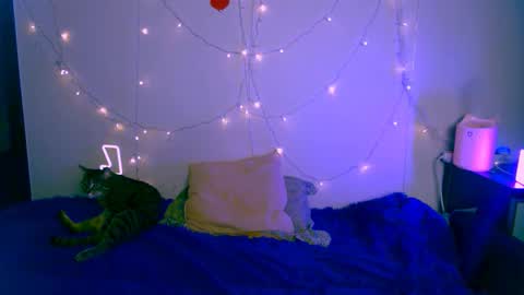 Snapshot of pufpufog chatting on January 24, 2025, 5:53 pm EsteticHouse online show from January 24, 2025, 5:53 pm