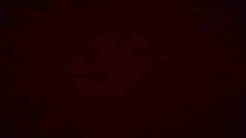 Pumpkin bunny online show from December 19, 2025, 12:28 am