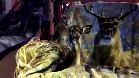 Snapshot of pumpslurrys chatting on October 12, 2025, 11:26 pm pumpslurrys online show from October 12, 2025, 11:26 pm