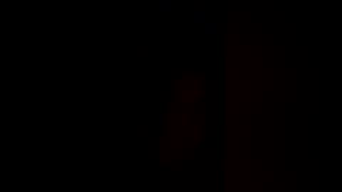 Pup Cup69 online show from December 17, 2025, 11:49 am