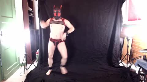 Pup Jake wants to play online show from March 8, 2025, 1:03 pm