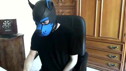 Snapshot of pup_toby chatting on November 7, 2025, 10:48 am Toby online show from November 7, 2025, 10:48 am