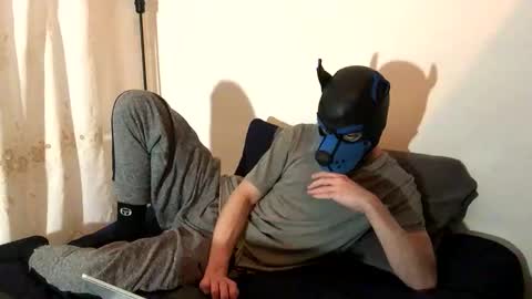 Snapshot of pup_toby chatting on November 13, 2025, 8:08 pm Toby online show from November 13, 2025, 8:08 pm