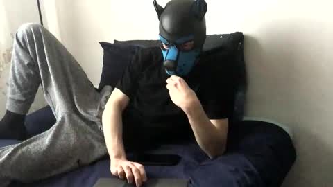 Snapshot of pup_toby chatting on November 20, 2025, 2:17 pm Toby online show from November 20, 2025, 2:17 pm