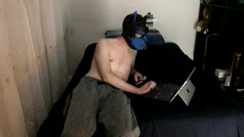 Snapshot of pup_toby chatting on November 23, 2025, 4:40 pm Toby online show from November 23, 2025, 4:40 pm