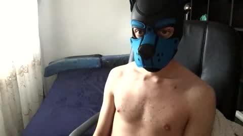 Snapshot of pup_toby chatting on November 25, 2025, 9:31 am Toby online show from November 25, 2025, 9:31 am