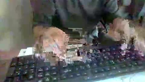 Snapshot of pup_y chatting on September 17, 2025, 2:52 pm pup_y online show from September 17, 2025, 2:52 pm