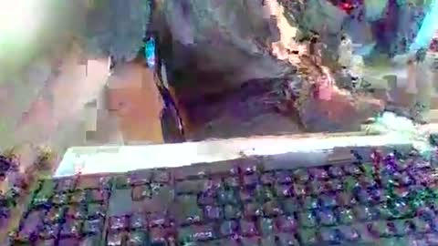 Snapshot of pup_y chatting on September 20, 2025, 3:02 pm pup_y online show from September 20, 2025, 3:02 pm