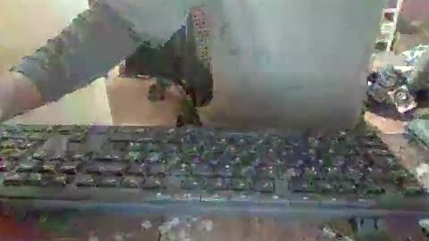 Snapshot of pup_y chatting on December 14, 2025, 6:56 pm pup_y online show from December 14, 2025, 6:56 pm