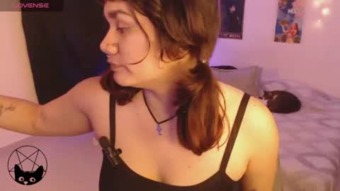 Snapshot of pussycat420_ chatting on June 27, 2026, 2:05 am Mari online show from June 27, 2026, 2:05 am