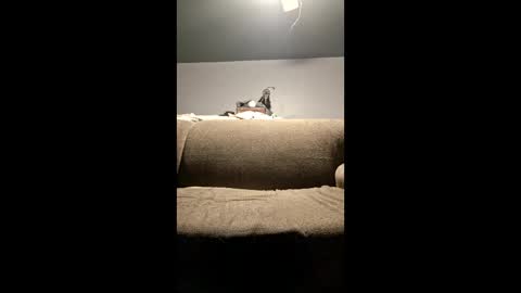 Snapshot of pussylicker517038 chatting on April 29, 2026, 2:37 am pussylicker517038 online show from April 29, 2026, 2:37 am