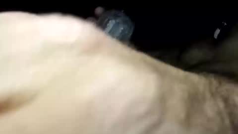 Snapshot of pussyluver420kik909587 chatting on November 11, 2025, 6:57 am Pussyluver420 online show from November 11, 2025, 6:57 am