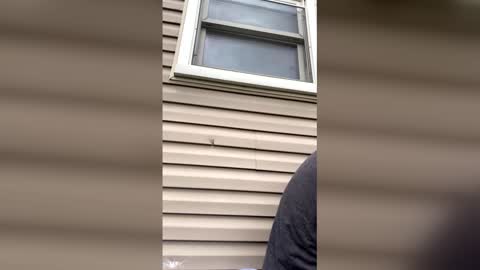 pyrex8 online show from April 13, 2026, 8:58 pm