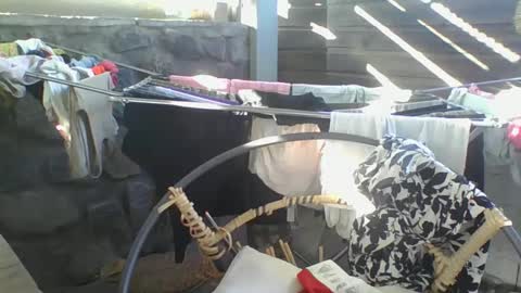 Python online show from January 10, 2025, 2:57 am