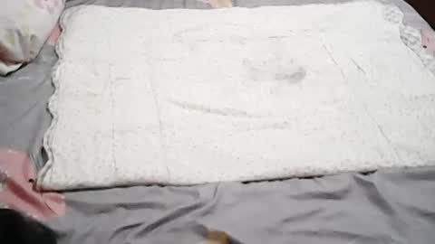 queen_ava05 online show from July 1, 2026, 12:18 pm
