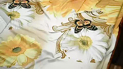 queen_ava05 online show from July 2, 2026, 7:20 pm
