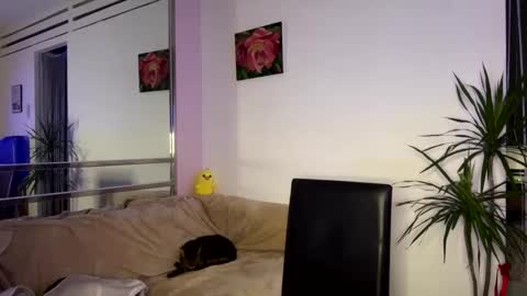 Viktoria online show from February 12, 2025, 6:09 pm