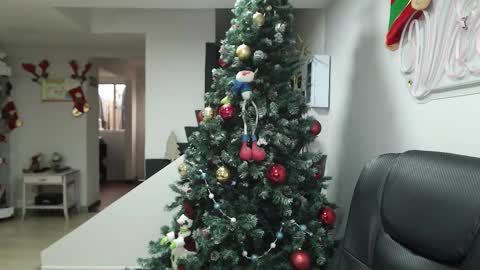 Snapshot of queen_zafiro88 chatting on November 17, 2025, 12:33 pm Zafiro ILL BROADCAST UNTIL DECEMBER Onlyfans online show from November 17, 2025, 12:33 pm