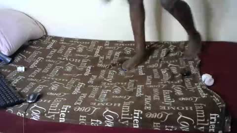 Snapshot of queenmojo_1_1 chatting on January 4, 2025, 9:10 am melly online show from January 4, 2025, 9:10 am