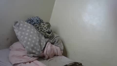 Snapshot of queenmojo_1_1 chatting on January 31, 2025, 11:13 am melly online show from January 31, 2025, 11:13 am