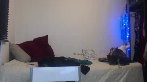 Nico online show from January 5, 2025, 12:52 am