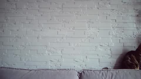 QueenOfModels online show from November 17, 2025, 6:08 am